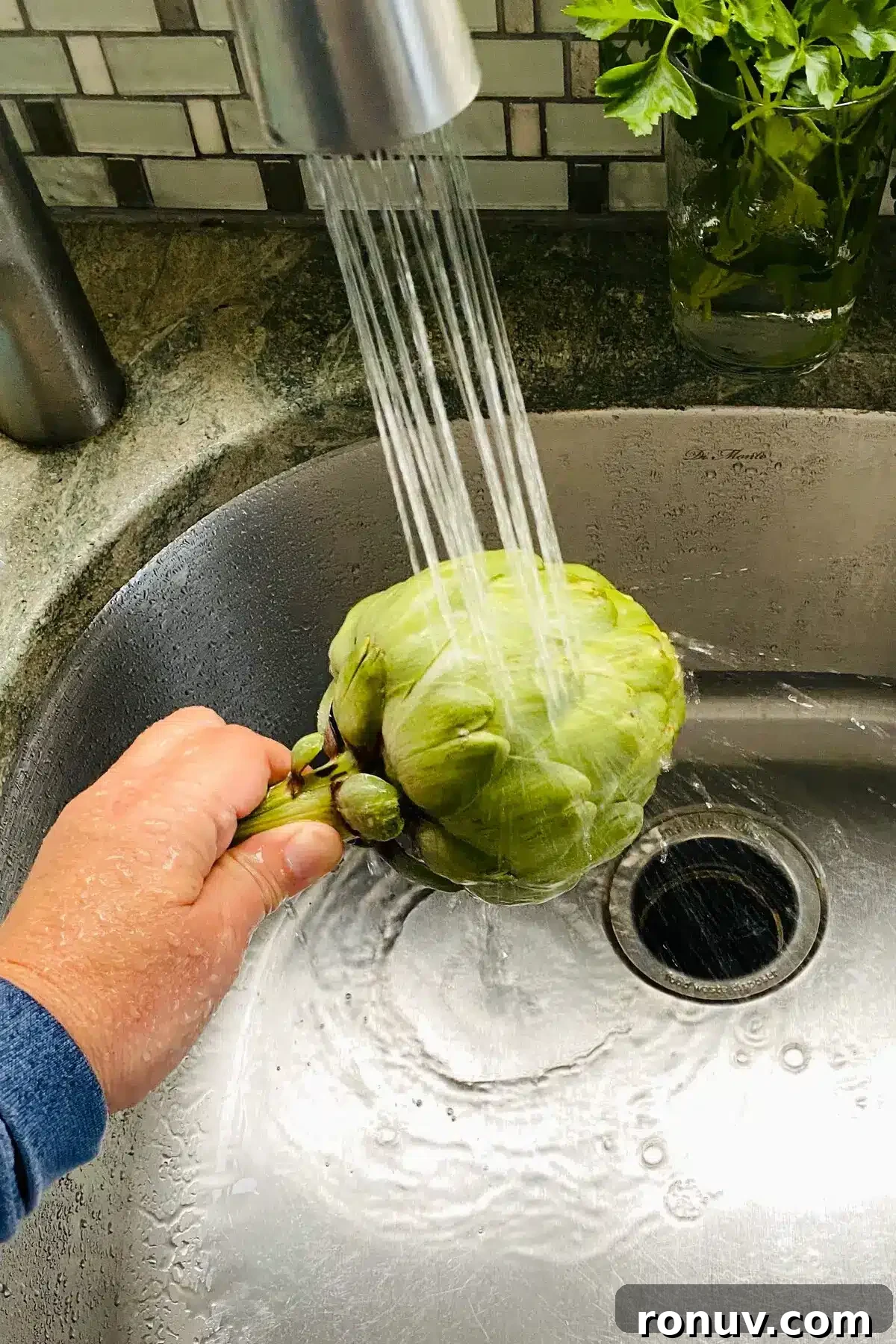 How to Cook Artichokes in the Microwave 5 washing an artichoke.