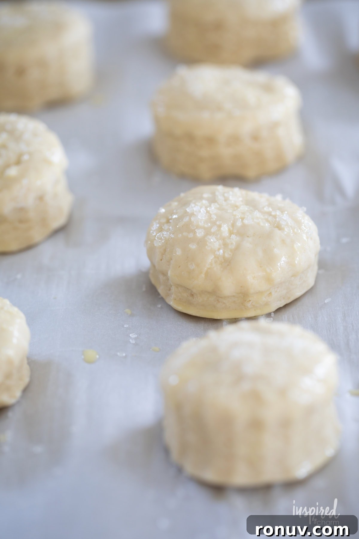 Classic Buttery Homemade Scones Recipe 12 unbaked scones with coarse sugar sprinkled on top.