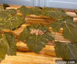 Authentic Warak Enab (Stuffed Grape Leaves) Recipe 9 Placing filling on grape leaf