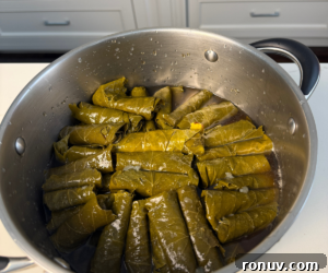 Authentic Warak Enab (Stuffed Grape Leaves) Recipe 12 Stacked rolled grape leaves in pot