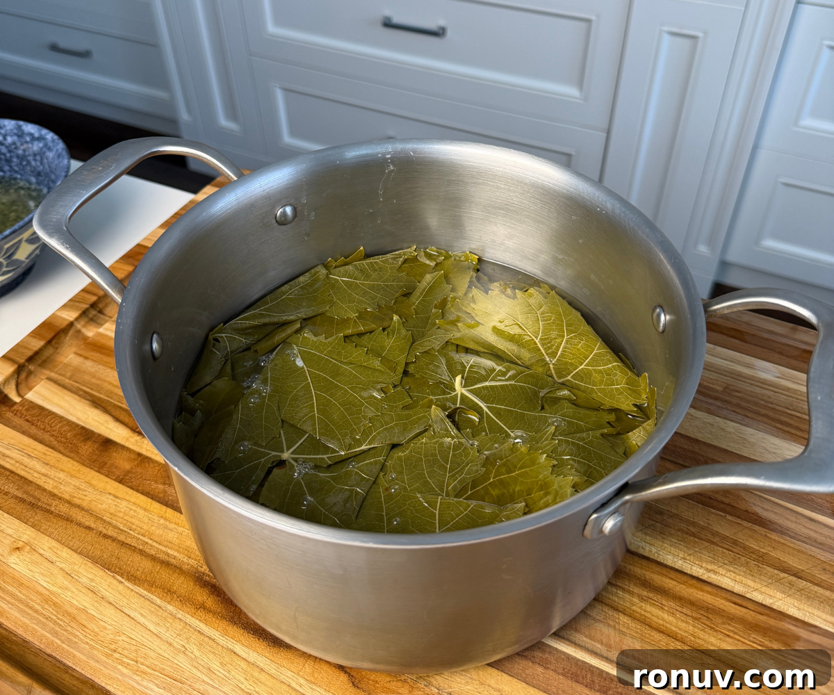 Authentic Warak Enab (Stuffed Grape Leaves) Recipe 4 Boiled grape leaves in a pot