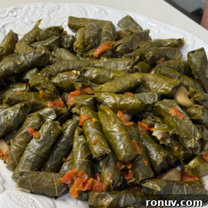 Plate of warak enab