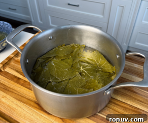 Authentic Warak Enab (Stuffed Grape Leaves) Recipe 8 Blanched grape leaves