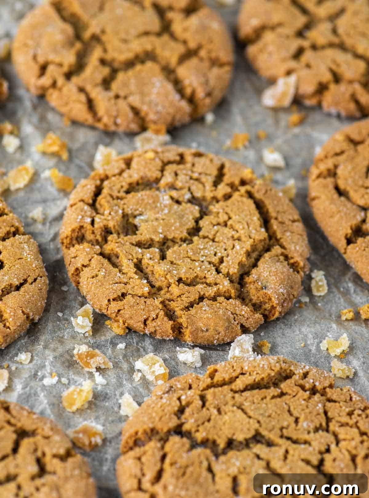 Soft Chewy Molasses Ginger Cookies 2 close-up of ginger cookies on parchment-lined baking sheet