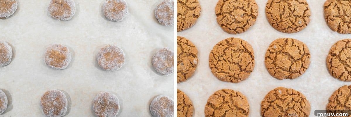 Soft Chewy Molasses Ginger Cookies 7 process shots of adding cookies to parchment-lined baking sheet and baking