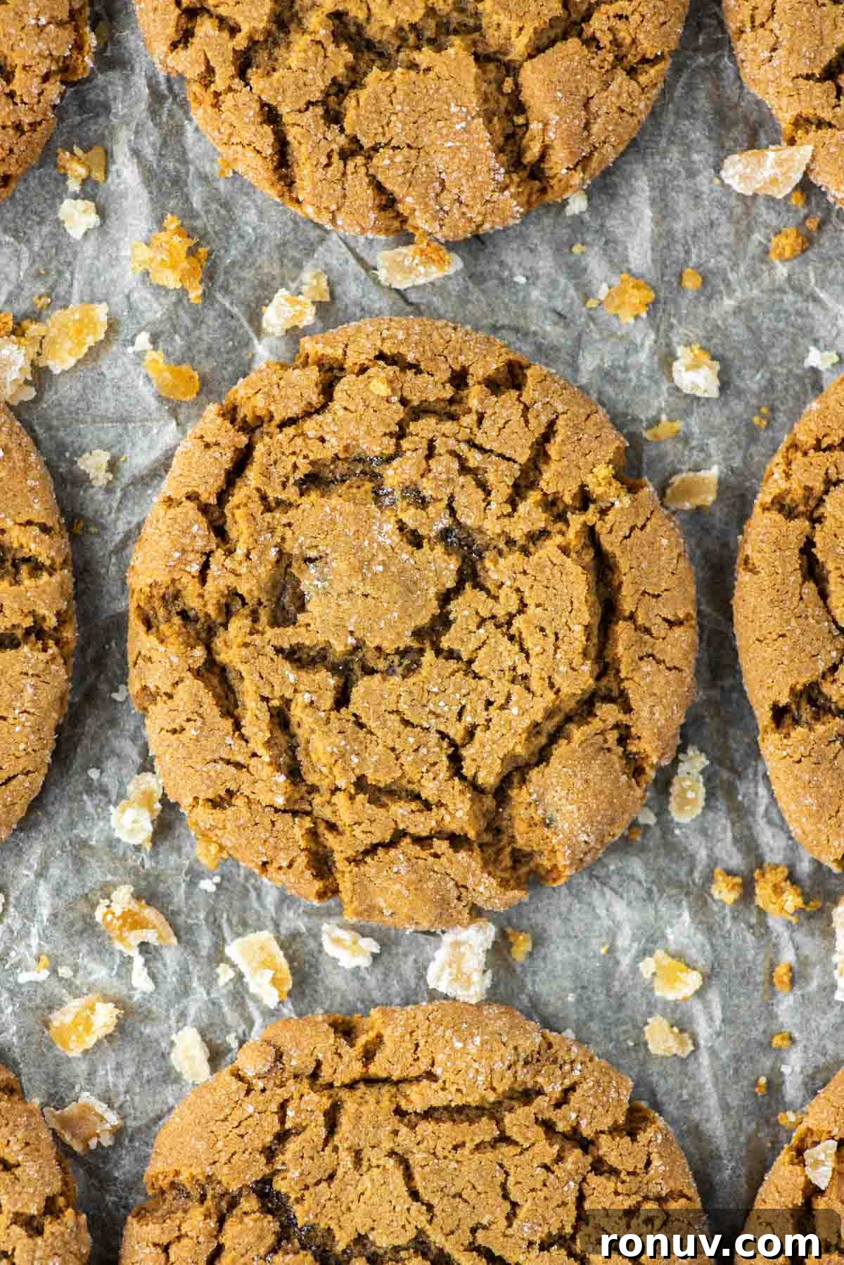Soft Chewy Molasses Ginger Cookies 8 overhead shot of ginger cookies on parchment-lined baking sheet