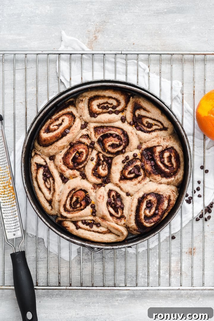 Vegan Chocolate Orange Cinnamon Rolls 2 Vegan cinnamon rolls with chocolate and orange