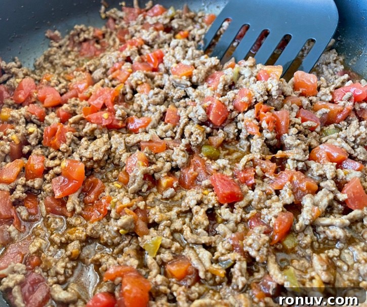 Quick Taco Macaroni and Cheese Dinner Recipe 6 Seasoned ground beef mixed with a can of Rotel diced tomatoes and green chiles.