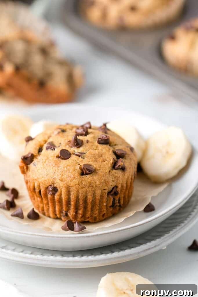 Gluten-Free Banana Muffins with Chocolate Chips 7 A muffin on a plate with banana slices and chocolate chips.