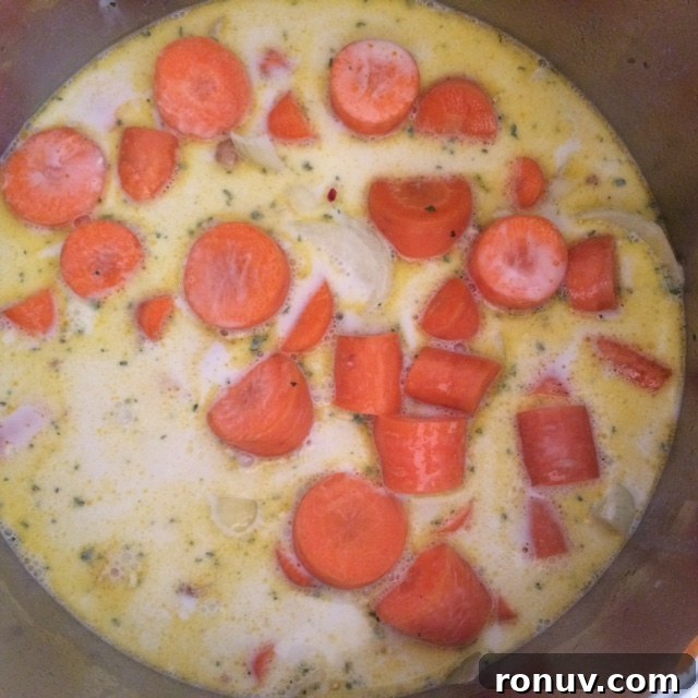 Creamy Roasted Carrot and Coconut Soup 2 Carrot and Coconut Soup