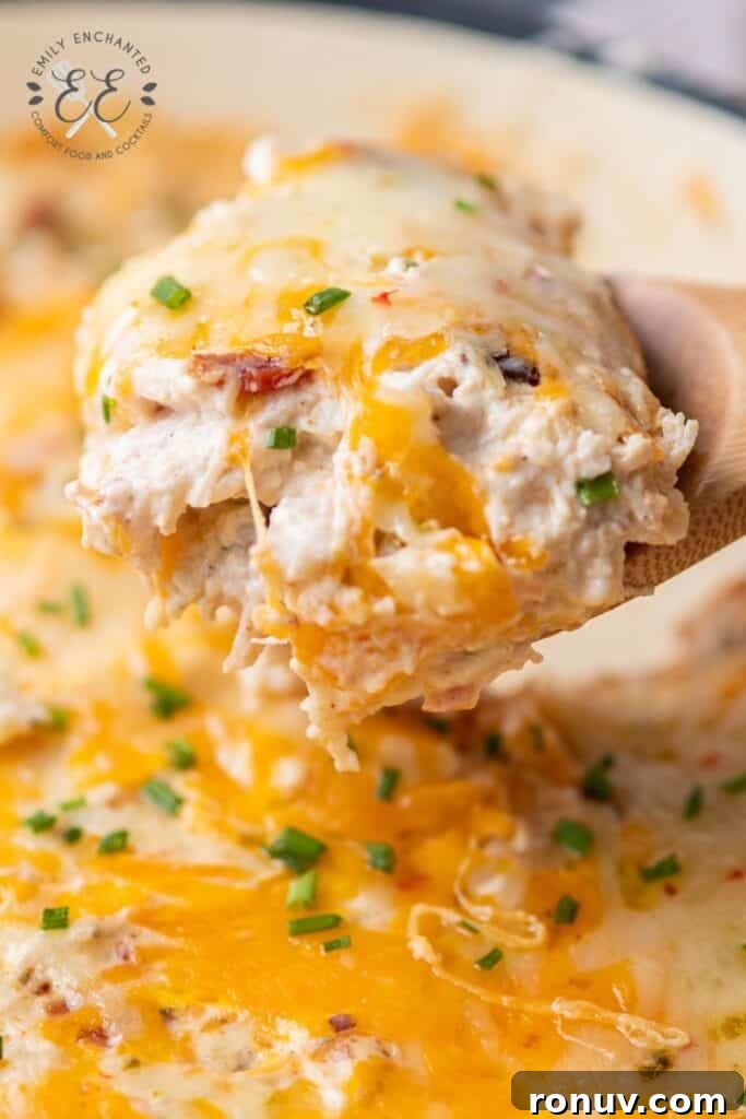 Chicken Bacon Dip Chicken Bacon Dip
