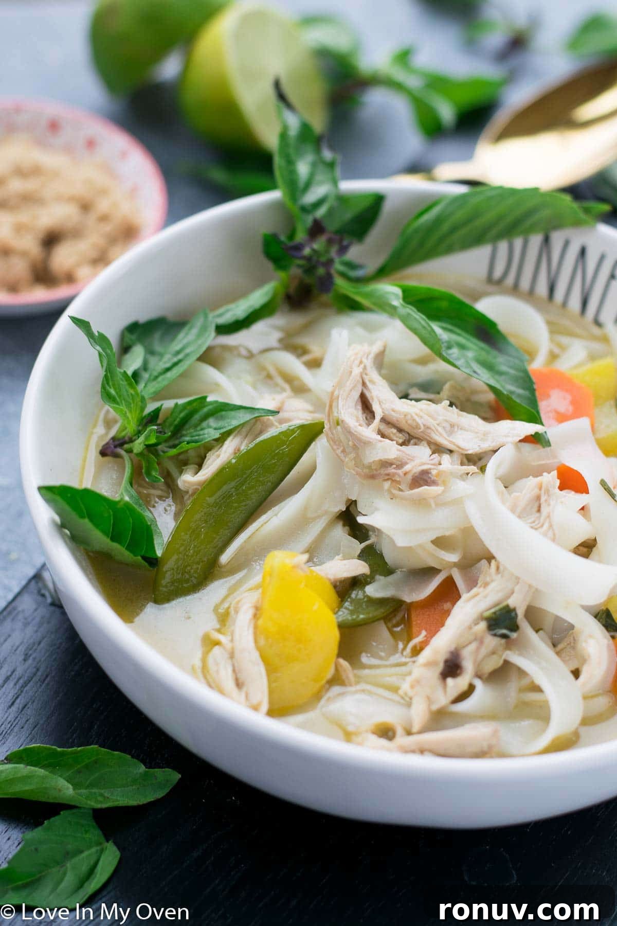 Spicy Thai Chicken Noodle Soup Recipe (Tom Yum-Inspired) 2 spicy thai chicken noodle soup