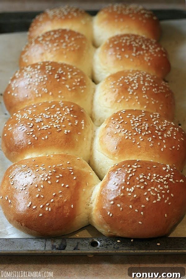 Garlic Bread Recipe: Crispy Herb and Parmesan Loaf 7 Homemade Hamburger Buns