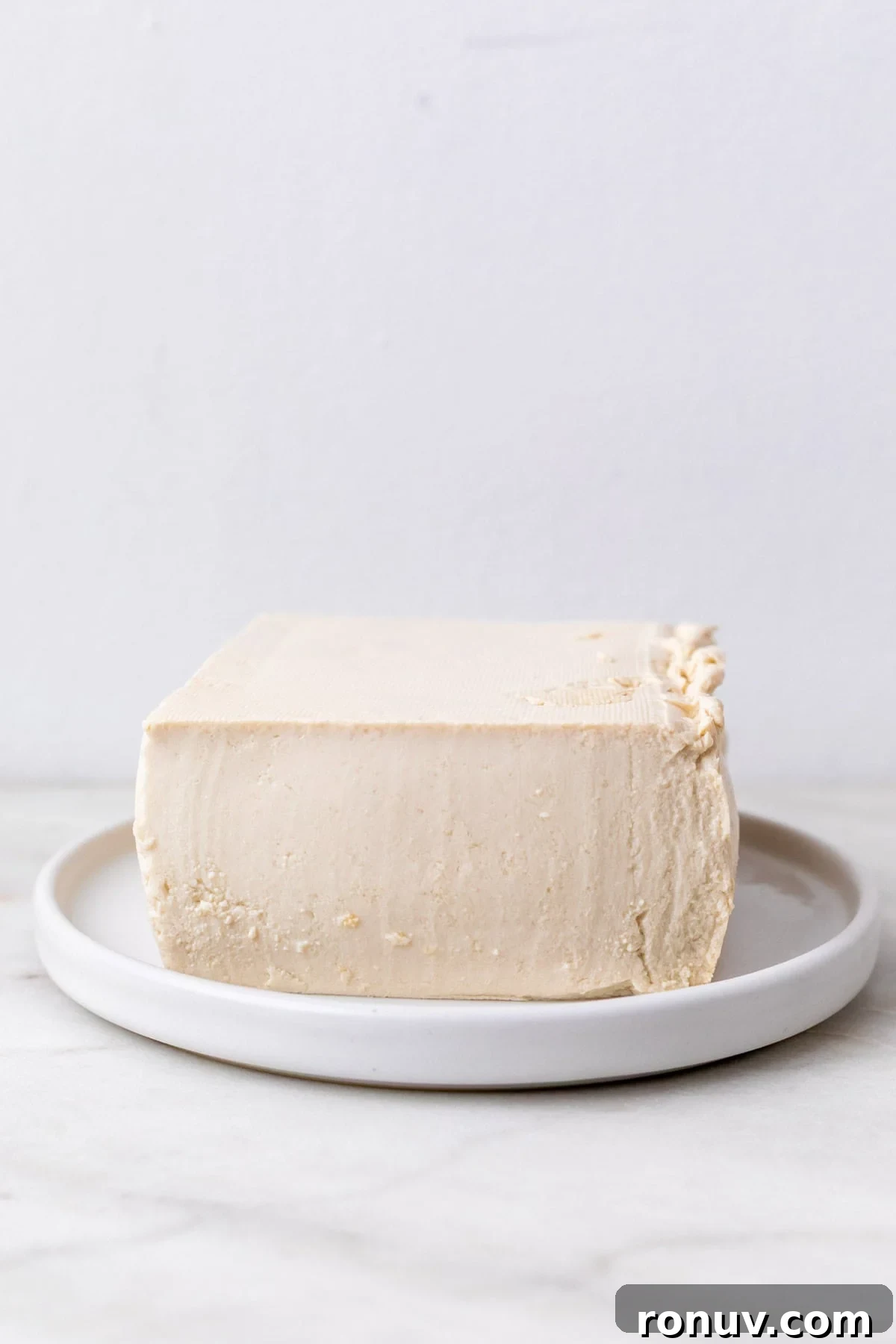 Freeze Tofu for Firmer Texture and Longer Storage 13 Block of silken tofu on a plate