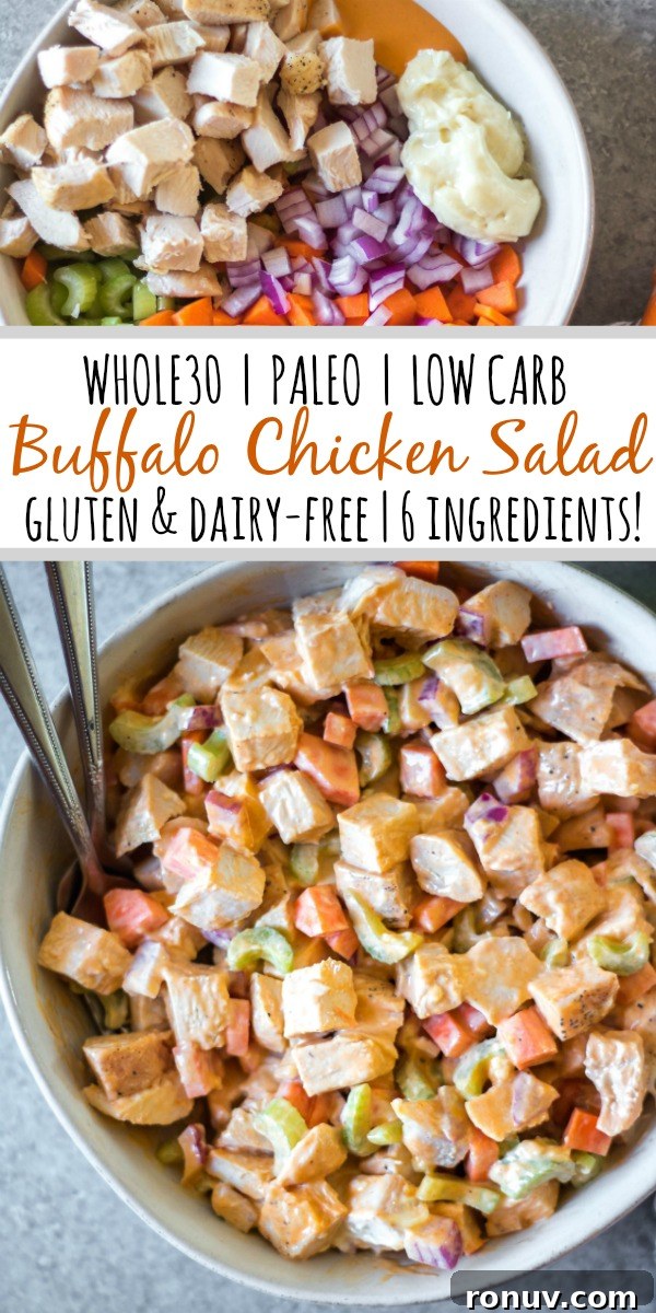 Buffalo Chicken Salad Ready to Serve Buffalo chicken salad ready to serve