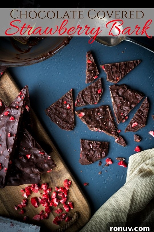 Chocolate-Covered Strawberry Bark with Freeze-Dried Strawberries 7 The elegance of chocolate dipped strawberries in an easy-to-make chocolate bark bursting with strawberry flavor!
