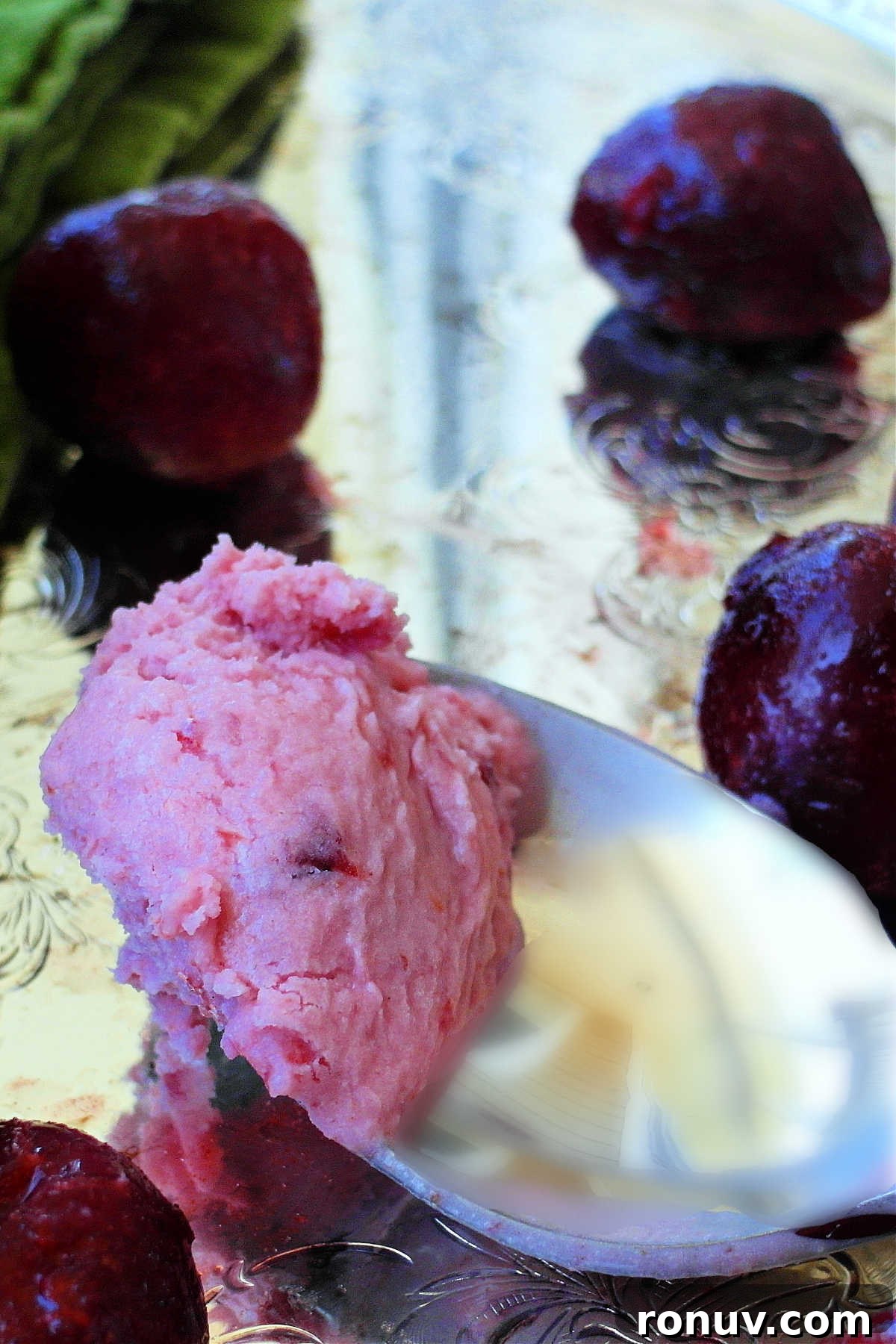 How to Make Tart Cherry Ice Cream 2 A spoonful of pink sour cherry ice cream.