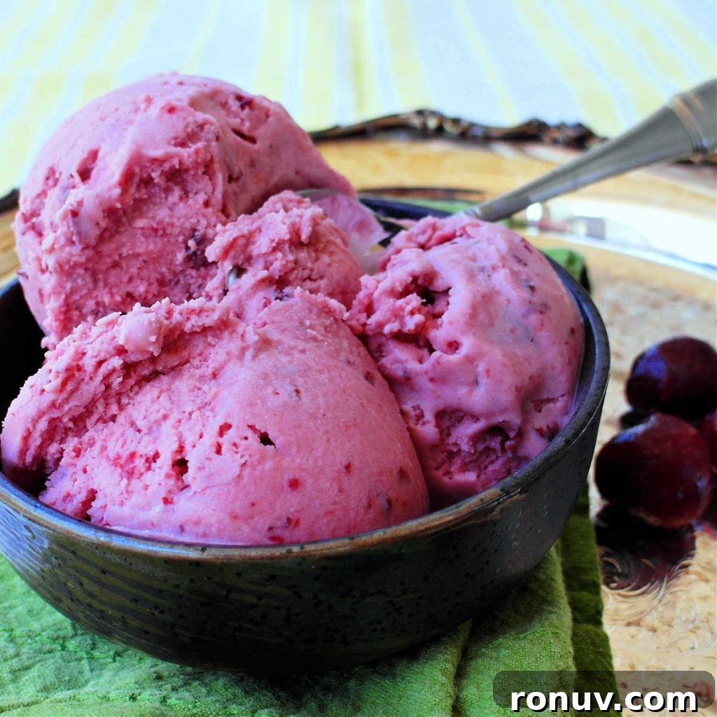 How to Make Tart Cherry Ice Cream 6 A bowl of pink sour cheery ice cream with a metal spoon. Fresh cherries are on the side.