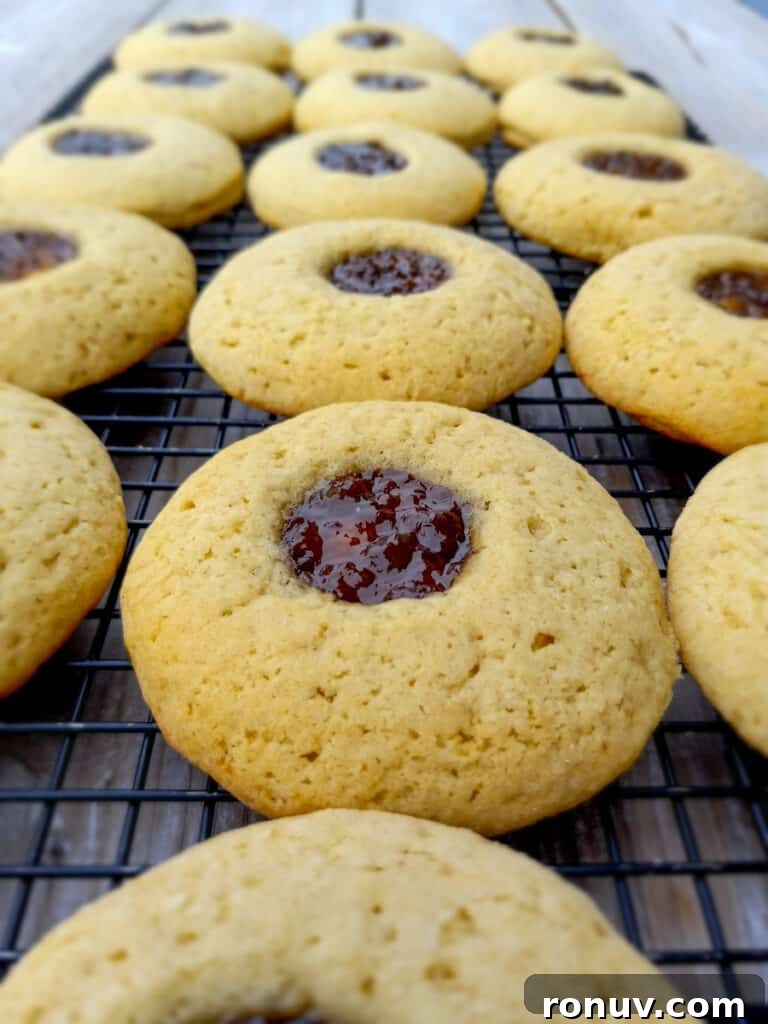 Amish Raisin-Filled Cookies: Old-Fashioned Homestyle Recipe 9 Amish raisin-filled cookies on a wire rack
