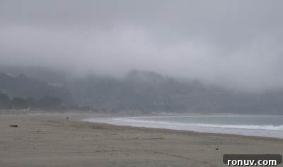 Vacation Recap: Kid-Friendly Green Bean Recipe 2 Misty day on the beach.