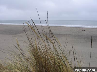 Vacation Recap: Kid-Friendly Green Bean Recipe 3 Going to the beach.