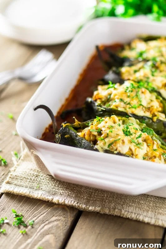 Oven-Baked Chorizo and Butternut Squash Chiles Rellenos 2 Chorizo-butternut squash chile rellenos in a white pan with ranchero sauce with plates, forks and cilantro in the background.