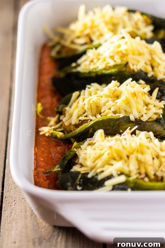 Oven-Baked Chorizo and Butternut Squash Chiles Rellenos 4 Pasilla peppers stuffed with chorizo and butternut squash and topped with cheese in a pan with ranchero sauce.