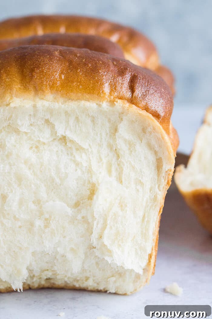 Fluffy Vegan Hokkaido Milk Bread Recipe 4 Close up of the crumb of vegan Hokkaido milk bread