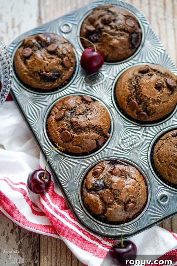 Homemade Cherry Chocolate Muffins Recipe 8 Finished Cherry Chocolate Muffins rest in a muffin tin.