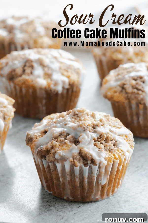 Sour cream coffee cake muffins. Sour cream coffee cake muffins with streusel topping.