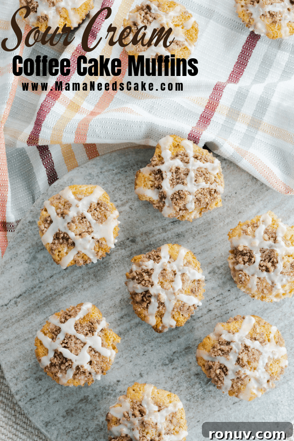 Sour cream coffee cake muffins. Close-up of sour cream coffee cake muffin.